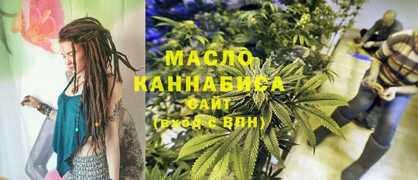 дживик Новозыбков
