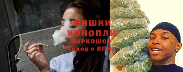 дурь Новодвинск