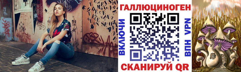 Галлюциногенные грибы мицелий закладки Туринск